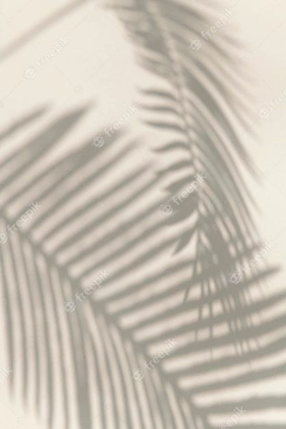 Free Photo | Shadow of palm leaves design element Plakat Design Inspiration, Palm Leaf Design, Fotografi Vintage, Leaves Design, 背景 シンプル, Minimalist Wallpaper, Beige Aesthetic, Leaf Nature, Iphone Background Wallpaper