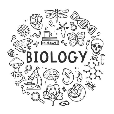 Biology Coloring Book, Science Doodles Biology, Science Project Decoration Ideas School File Aesthetic, Biologi Aesthetic, Earth Science Design, Biology Drawing Ideas, Biology Cover Page Design, Biology Doodles, Drawing Biology