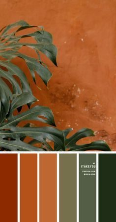 Green and Terracotta Colour Combination | Color Scheme | itakeyou.co.uk Autumn Colors Living Room, Earthy Colorful Living Room, Morocco Color Palette, Green Room Color Palette, Palette Couleur Terracotta, Earthy Home Color Palette, Railway Wallpaper, Southwest Color Palette, Coloring Palette