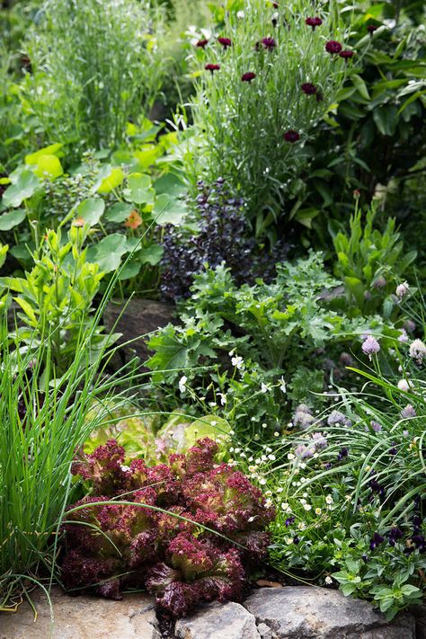 Edible Perennial Garden Ideas, Edible Landscape Design Ideas, Library Greenhouse, Edible Perennials, Wellness Photography, Homestead Design, Edible Landscape, Edible Gardens, Hillside Garden