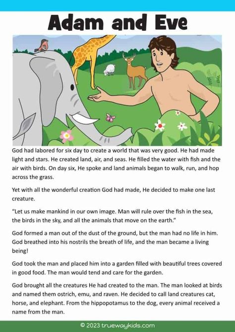 Adam And Eve Story For Preschoolers, Adam And Eve Worksheet, Adam And Eve Sunday School Lesson, Adam And Eve Bible Lesson For Kids, Bible Family Tree From Adam And Eve, Story Of Adam And Eve, Adam And Eve Story, Adam And Eve Bible, Catholic Kids Activities