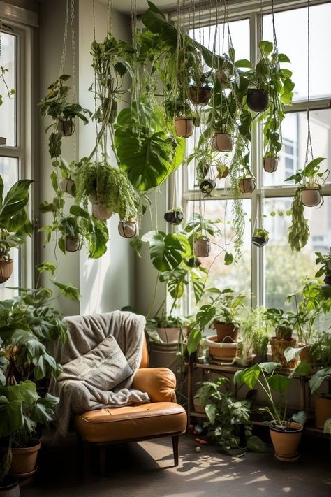 Green Corner Ideas, House Plant Display Ideas Living Room, Skylight Plant Ideas, Room With Hanging Plants, House Plants In Bedroom, Unique Indoor Plants, Plant Nursery Aesthetic, Hanging Plants Indoor Diy, Interiors With Plants