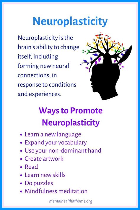 Neuroplasticity: what it is and ways to promote it Neuroplasticity Exercises, Nervus Vagus, Brain Based Learning, Psychology Notes, Neural Connections, Brain Facts, Mental Health Facts, Psychology Student, Brain Science