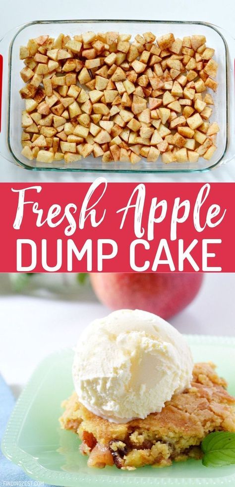 Fresh Apple Dump Cake, Dump Cake With Fresh Apples, Fresh Apple Recipes, Homestead Food, Apple Dump Cake Recipe, Apple Dump Cake, Dump Cakes, Apple Recipes Easy, Apple Dump Cakes