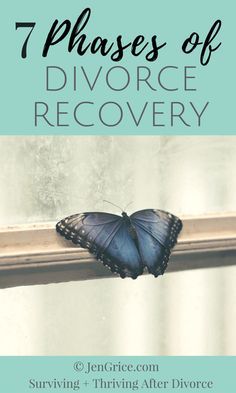 Preparing For Divorce, Coping With Divorce, Co-parenting, Divorce Support, Divorce Recovery, Divorce Help, Divorce For Women, Divorce Advice, Post Divorce