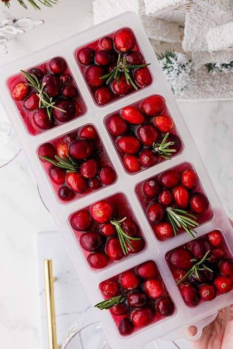 oversized square ice cubes with frozen cranberries, and a sprig of rosemary Rosemary Ice Cubes, Christmas Mocktail, Christmas Mocktails, Goat Cheese Appetizer, Cranberry Cocktail, Sparkling Cider, Apple Season, Recipes Appetizers, Hosting Christmas