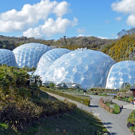 Weird Buildings, The Eden Project, Dome Structure, Large Greenhouse, Eden Project, Architecture Design Drawing, The Eden, Cornwall England, Geodesic Dome