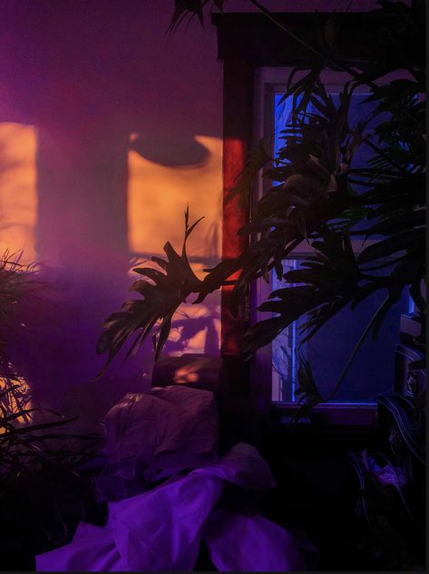 plant room aesthetic dark night golden hour purple yellow orange blue lights Plant Room Aesthetic, Plant Room, Aesthetic Dark, Room Aesthetic, The Sun, Sun, Orange, Yellow, Purple