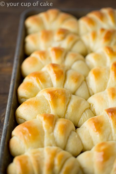 The World's Best Potato Rolls will ruin you.  You'll never want to make frozen rolls again after having these buttery, delicious, pillowy soft dinner rolls.  The Recipe for the World's Best Potato Rolls You think I'm kidding.  I dare you to find a better recipe!  Every time I make these people beg for the recipe and say, 'These are the best rolls I've ever had.'  I made them for my husband the first time last week and when he bit into one his eyes lit up like a little kid at Christmas! He was Best Rolls, Rolls Dinner, Cup Of Cake, Frozen Rolls, Potato Rolls, Bread Rolls Recipe, Freshly Baked Bread, Bread Homemade, Homemade Rolls