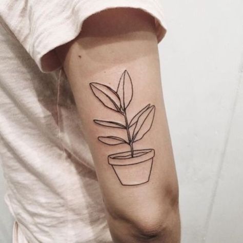 35 Plant Tattoo Ideas & Inspiration – Brighter Craft Linear Tattoos, Pot Tattoo, Tattoo Plant, Omerta Tattoo, Muster Tattoos, Plant Tattoo, Ink Inspiration, Nature Tattoos, Minimal Tattoo