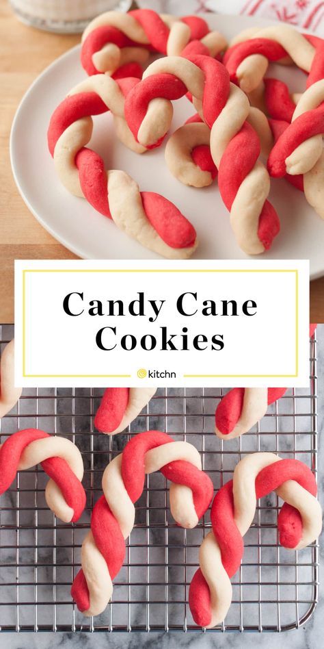 Softest Cookie Recipe, Creative Christmas Baking, Candy Cane Cookie Recipe, Brownie Vegan, Sleeve Recipes, Desert Ideas, Cookie Boxes, Candy Cane Cookies, Cooking Stuff