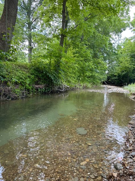 House By Creek, Creek Background, Creek Aesthetic, Granola Boy, Forest Creek, Twisted Ankle, Nature Witch, English Summer, Moomin Valley