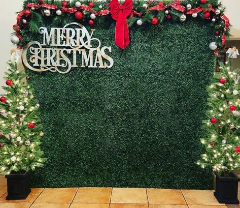 Diy Xmas Backdrop, Christmas Flower Wall Backdrop, Grass Wall Christmas Backdrop, Christmas Selfie Wall Ideas, Photobooth Christmas Backdrop, Christmas Event Backdrop, Christmas Wall Backdrop, Photobooth Ideas For Christmas, Outdoor Christmas Backdrop