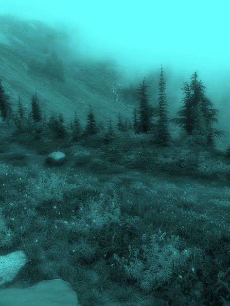 #twilight #twilightcore #fairygrunge #fairycore Teal Abstract Wallpaper, Green Witch Aesthetic, Dark Forest Aesthetic, Dark Fairycore, Grunge Pictures, Dark Fairytale, Dark Green Aesthetic, Dark Nature Aesthetic, Green Landscape