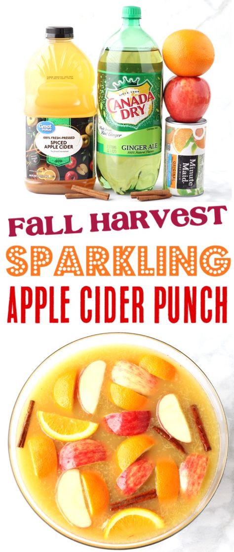 Sparkling Apple Cider Punch Recipe! {4 Ingredients} - The Frugal Girls Fall Harvest Sparkling Apple Cider Punch, Sparkling Fall Cocktails, Fall Wedding Punch Recipes, Fall Food For Large Groups, Sparkling Cider Non Alcoholic, Fall Wedding Punch Recipes Non Alcoholic, Apple Cider Ideas, Sparkling Apple Cider Non Alcoholic, Apple Punch Recipes Non Alcoholic