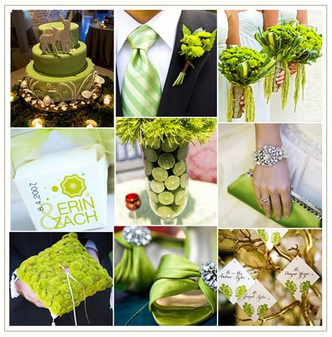 http://journey.hubpages.com/hub/Lime-and-White-Wedding-Ideas Lime Green Wedding Theme, Lime Wedding, Lime Green Weddings, Green And Gold Wedding, How To Make Wedding Cake, Green Wedding Inspiration, Green Themed Wedding, Green Wedding Colors, Gold Wedding Theme