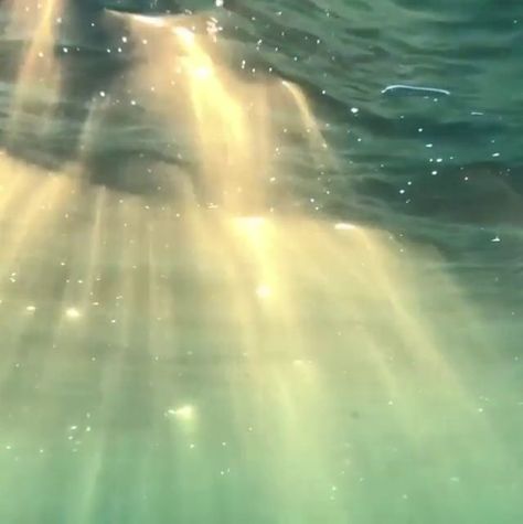 Mermaid Aesthetic, Art Ancien, Nature Aesthetic, Green Aesthetic, Aphrodite, Summer Aesthetic, Pretty Pictures, Aesthetic Pictures, Summer Vibes