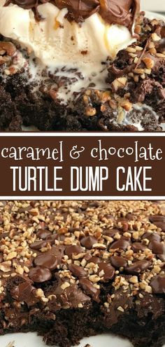 Turtle Dump Cake, Dump Cake Chocolate, Chocolate Turtle, Dessert Halloween, Chocolate Turtles, Dessert Cake Recipes, Oreo Dessert, Caramel Chocolate, Fudge Cake