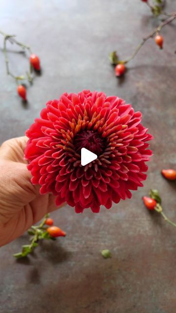 Piping Fall Flowers, Dahlia Birthday Cake, Fall Buttercream Flowers, Buttercream Mums Tutorial, Buttercream Fall Flowers, Russian Piping Tips Fall Flowers, How To Pipe Flowers, Piping Hydrangea Flowers, Fall Floral Cakes Buttercream