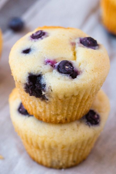 diet. Sugar Free Blueberry Muffins, Vegan Blueberry Muffins, Chocolate Covered Katie, Fruity Recipes, Healthy Blueberry Muffins, Sugar Free Vegan, Baking Substitutes, Healthy Blueberry, Muffin Recipes Blueberry