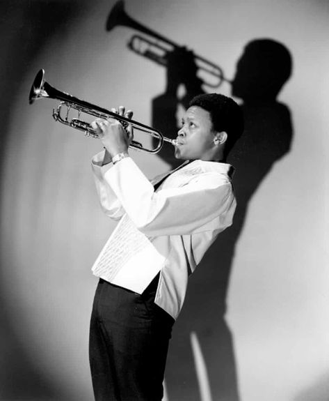 Hugh Masekela, Musician Portraits, Musician Photography, Senior Portraits Girl, Speed Of Light, Classical Musicians, Senior Poses, Jazz Musicians, Trumpeter