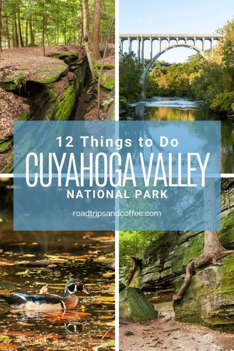 Cuyahoga Valley National Park is Ohio's only national park. Spanning 33,000 acres between Cleveland and Akron, it offers a great chance for getting outside. Learn about adventures you can enjoy in the national park with hiking and biking trails, kayaking the river, riding a scenic railroad, and the places in the park you need to visit. #travel #nationalpark #cuyahogavalley #GoForaDrive Ohio Attractions, Ohio Vacations, Brandywine Falls, Camping In Ohio, Cuyahoga Valley National Park, Ohio Travel, Scenic Railroads, National Park Road Trip, National Parks Trip