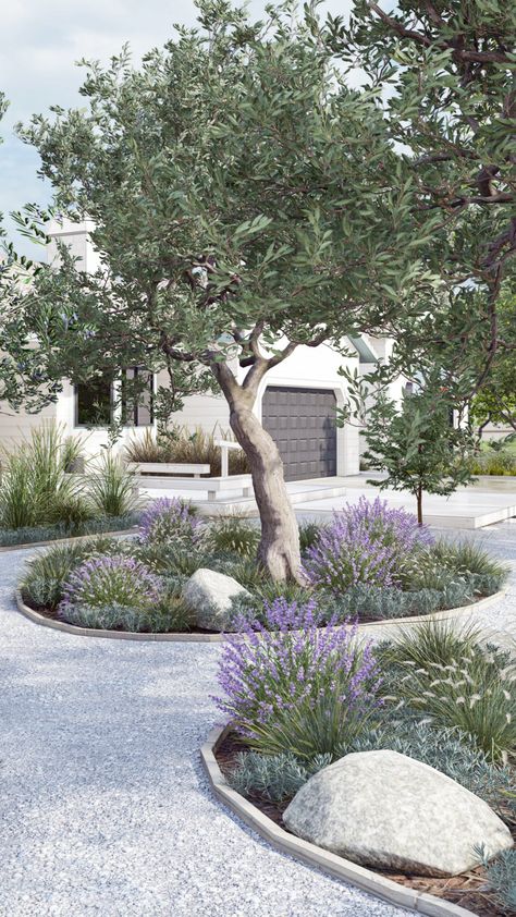 Moderne Have, Mediterranean Garden Design, Online Landscape Design, Front Yard Design, Mediterranean Landscaping, Gravel Garden, Low Maintenance Landscaping, Have Inspiration, Mediterranean Garden