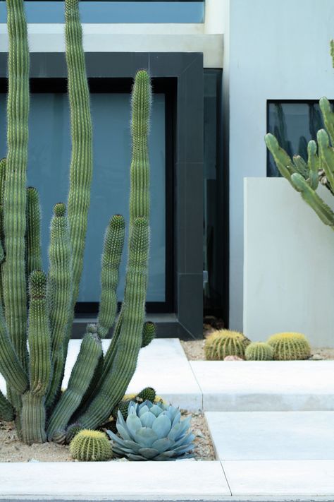 Rooftop Balcony, Modern Garden Landscaping, Moderne Have, Succulent Landscape Design, Succulent Landscaping, Plants Ideas, Modern Landscape Design, Modern Garden Design, Desert Garden