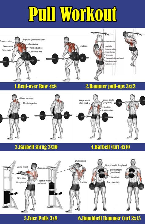 Pull Workout For Men Gym, Pull Day Workout Gym Men, Gym Pull Day, Pull Day Workout Men, Pull Gym Workout, Push Workout For Men, Pull Exercises Gym, Pull Workout For Men, Push Pull Legs Workout Plan Men