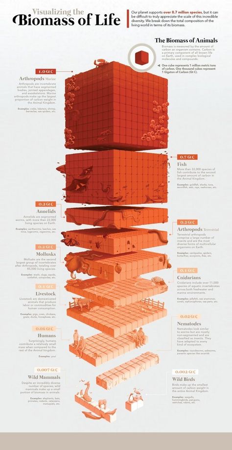 Data Vizualisation Art, Cool Infographics, Aesthetic Infographic Design, 3d Data Visualization, 3d Infographic, Data Vizualisation, Box Architecture, Data Visualization Infographic, Illustration Animals