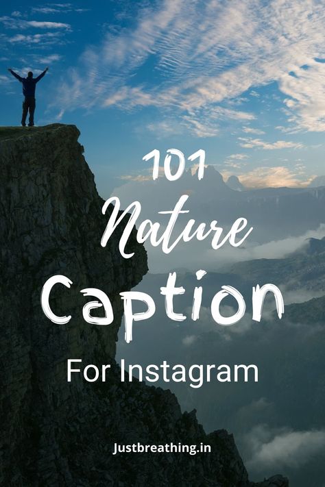 Short Nature Captions for Instagram Pic - Law of Nature is Healing Quotes Instagram Captions For Nature Posts, Forest Quotes Instagram Caption, Caption For Instagram Nature Post, Nature Post Captions, Forest Instagram Captions, Nature Therapy Captions, Caption For Forest Photos, Nature Quotes Instagram Captions, Instagram Captions For Nature Pictures