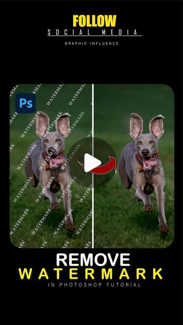 Graphic Designer on Instagram: "How to Remove Watermarks from any Image in Adobe Photoshop Image used in this video (Unsplash) . . . . Follow for more tutorial @GraphicInfluence01 . . Hashtag . . #photoshopskills #photoshoptips #photoshopart #photoshop2022 #photoshop #photoshop2023 #photoshop2024 #photoshopartist #photoshopedit #madewithphotoshop #digitalart #creative #photographymmetry #tipsandtricks #graphicdesign #graphics" Photoshop Video Tutorials, Remove Watermark, Adobe Design, Photoshop Video, Ipad Tutorials, Effect Photoshop, Photoshop Images, Photoshop Tips, Photoshop Art