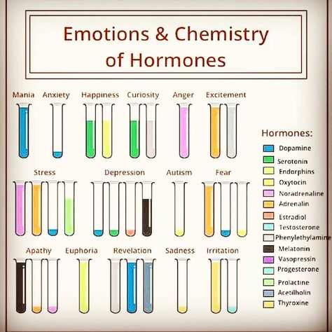 Occultus Soul on Instagram: “Does this make sense to you? Our brain is a wild mix of chemicals!!! Use them wisely! Moderate your moods✌💥Follow➡️ @futureworldhealing for…” Chemical Chart, Brain Healing, Health Posts, Brain Chemicals, Life Circle, Psychology Notes, Brain Facts, Health Post, Brain Chemistry