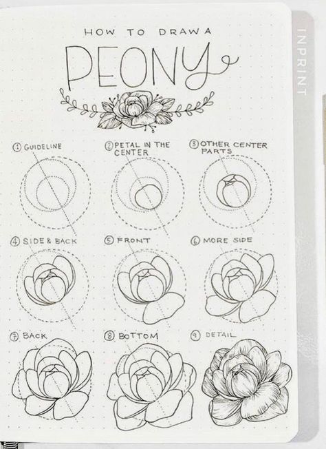 34 Best Step by Step Flower Doodle Tutorials for 2020 - atinydreamer Ako Kresliť, Floral Drawings, Peony Drawing, Flower Doodle, Flower Drawing Tutorials, Amy Brown, Canvas Painting Ideas, Flower Art Drawing, Flower Sketches