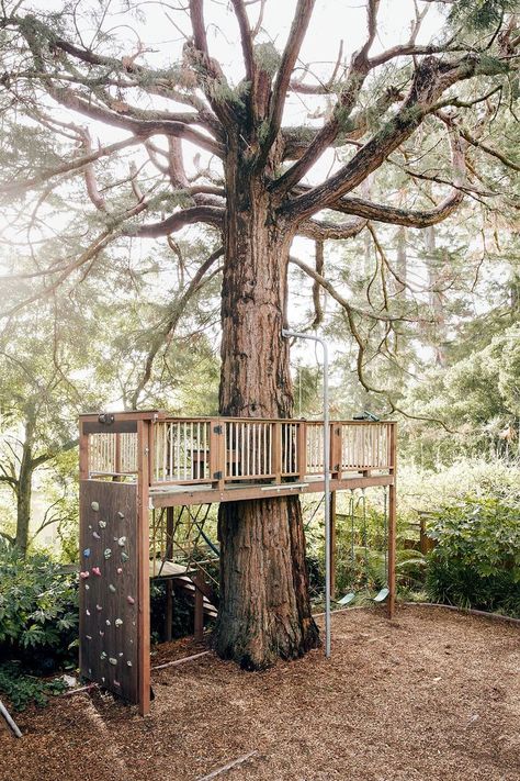 Playground Landscaping, Tree Fort, Tree House Diy, Playground Ideas, Tree House Kids, Diy Playground, Kids Outdoor Play, Tree House Designs, Diy Tree