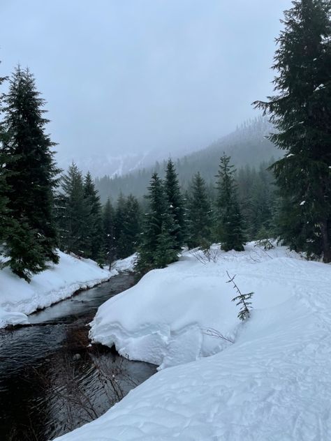 #goldcreekpond #washington #explore #snow #adventures #winter #winterwonderland Snow In Washington State, Winter River Aesthetic, Washington State Aesthetic Dark, Snowy Woods Aesthetic, Winter In Washington State, Snowy Pine Forest, Australia Winter Aesthetic, Winter Woods Aesthetic, Winter Aesthetic Pics