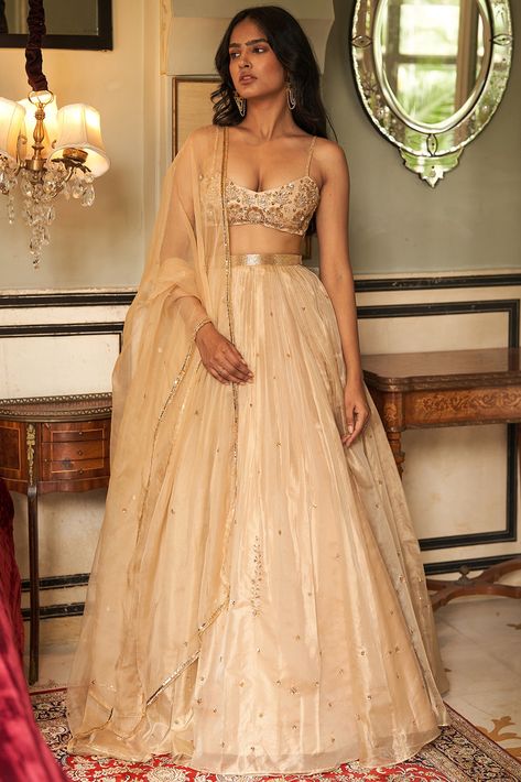 Lehenga And Blouse, Gold Organza, Gold Lehenga, Simple Lehenga, Indian Outfits Lehenga, Organza Lehenga, Indian Dresses Traditional, Traditional Indian Outfits, Embroidered Lehenga