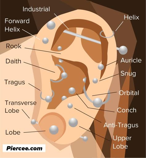 Just how much will that ear piercing hurt? Find out and learn the healing times as well in our handy guide to the types of ear piercings from rook and daith to snug, tragus, auricle, orbital, industrial, and more. #piercing #fashion #beauty #earpiercings Piercing Diagram, Piercing Anatomy, Ear Piercing Diagram, Ear Piercing Chart, Ear Diagram, Pierce Ear, Ear Piercing Names, Piercings Chart, Piercing Healing