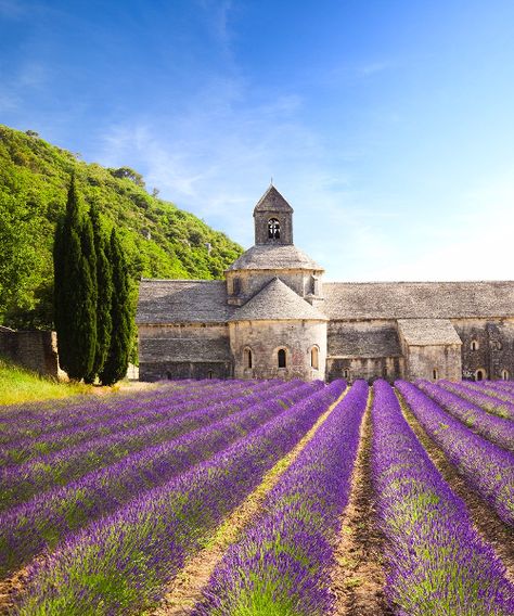 The Most Beautiful Places in France: Sénanque Abbey, Provence Beautiful Places In France, Places In France, Lavender Field, Voyage Europe, Destination Voyage, Provence France, South Of France, Pretty Places, France Travel