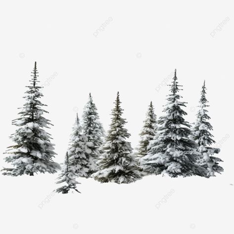 forest little christmas trees in snow after winter snowfall snow forest pine forest snow landscape Snow Forest Photography, Pine Trees In Snow, Christmas Tree Photoshoot, Trees In Snow, Snow Pics, Christmas Tree Forest, Snow Landscape, Christmas Tree With Snow, Pine Trees Forest