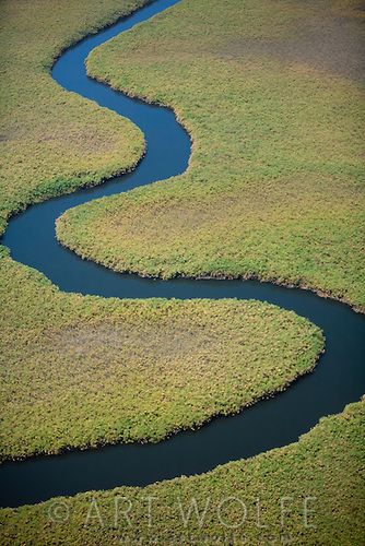 Okavango Delta, Botswana Botswana Travel, Okavango Delta Botswana, Winding River, Physical Geography, Okavango Delta, Flowing Water, Botswana, Point Of View, Gifts In A Mug