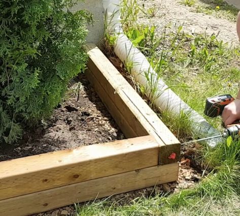 Wood Landscape Edging, Garden Bed Edging, Garden Edging Ideas Cheap, Wood Garden Edging, Cheap Garden Beds, Flower Bed Borders, Flower Bed Edging, Diy Garden Bed, Raised Flower Beds