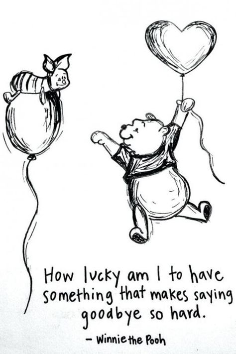 Best Disney Quotes, Disney Love Quotes, Inspirational Quotes Disney, Round Robin, Disney Movie Quotes, Winnie The Pooh Quotes, Pooh Quotes, Motiverende Quotes, How Lucky Am I