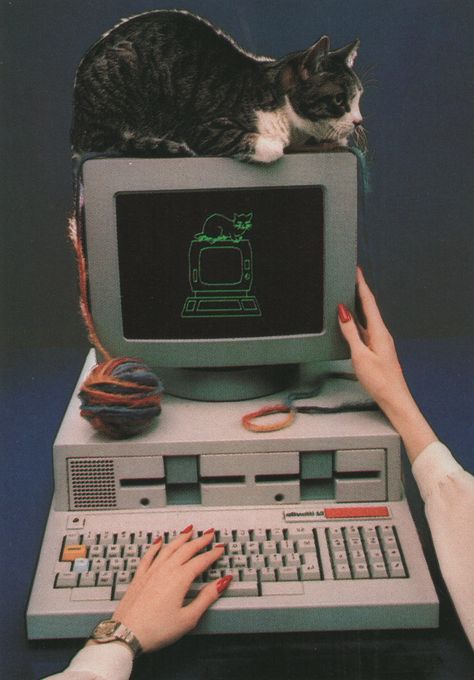 Daniel Quat (1985) Old Computer, New Retro Wave, Vaporwave Aesthetic, Old Computers, Retro Waves, Black Books, Funny Cat Memes, Retro Futurism, Retro Aesthetic