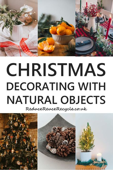 Inspiration and ideas for decorating your home with eco-friendly, sustainable decorations using natural objects such as branches, twigs, fruit, vegetables, leaves, nuts, pinecones and mistletoe. #sustainability #christmas #ecochristmas #greenchristmas Sustainable Decorations, How To Decorate For Christmas, Eco Friendly Christmas Decorations, Sustainable Christmas Decorations, Recycled Christmas Tree, Zero Waste Christmas, Eco Christmas, Natural Objects, Decorate For Christmas