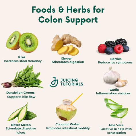 Colon Foods Health, Food For Colon Health, Herbs For Colon Health, Herbs For Colon Cleanse, How To Clean Out Your Colon Naturally, Healthy Colon, Colon Health, Fertility Health, Food Health Benefits