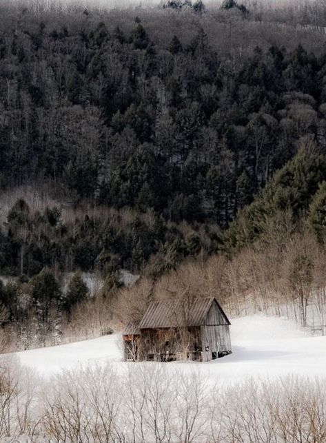 (31) Tumblr Winter Hunting, Wood Cabin, Winter Wood, Winter House, Old House, In The Middle, The Middle, Hunting, Cabin