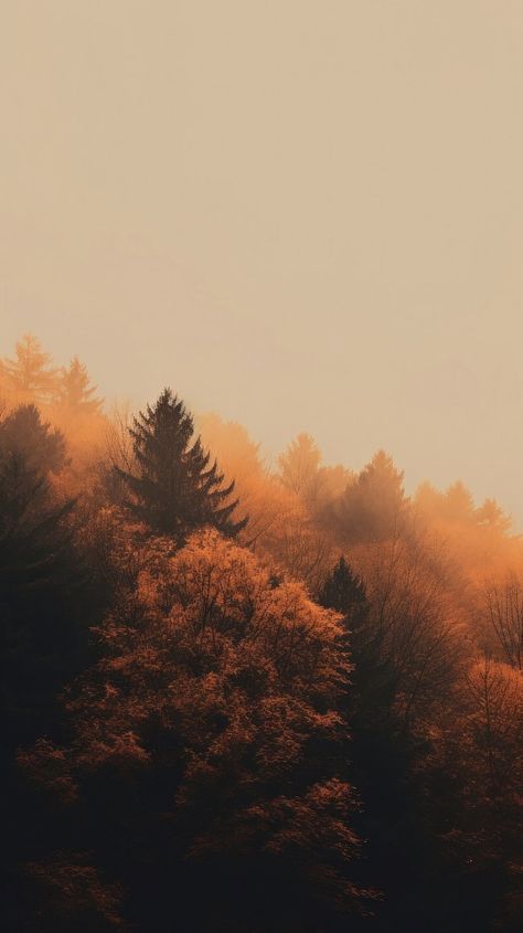 Autumn Forest Wallpaper Iphone, Background Fall Autumn, Burnt Orange Aesthetic Fall, Fall Landscape Aesthetic, Forest In Autumn, Forest Sunset Aesthetic, Aesthetic Forest Pictures, Cozy Forest Aesthetic, Fall Minimalist Wallpaper Iphone