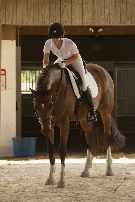 Horsey Life, Horse Riding Aesthetic, Horseback Riding Outfits, Horse Riding Outfit, Equestrian Aesthetic, Equestrian Girls, Horse And Rider, Horse Aesthetic, Equestrian Lifestyle