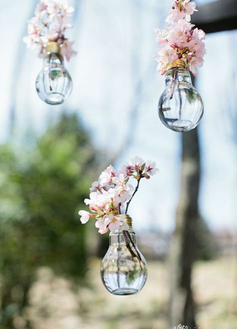 Hanging Wedding Decorations, Cheap Boho, Cherry Blossom Theme, Flower Vase Making, Rustic Wedding Decorations, Flowers Hanging, Cherry Blossom Wedding, Outdoor Wedding Decorations, Hanging Flowers